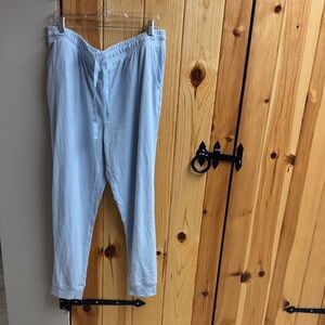 LOFT Light Blue Women’s Drawstring Joggers